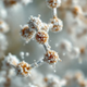 Acetil Tetrapeptide-3